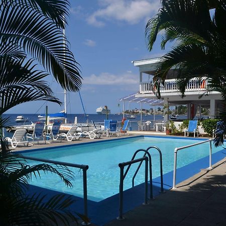 Anchorage Hotel, Whale Watch & Dive Center Ροζό Εξωτερικό φωτογραφία