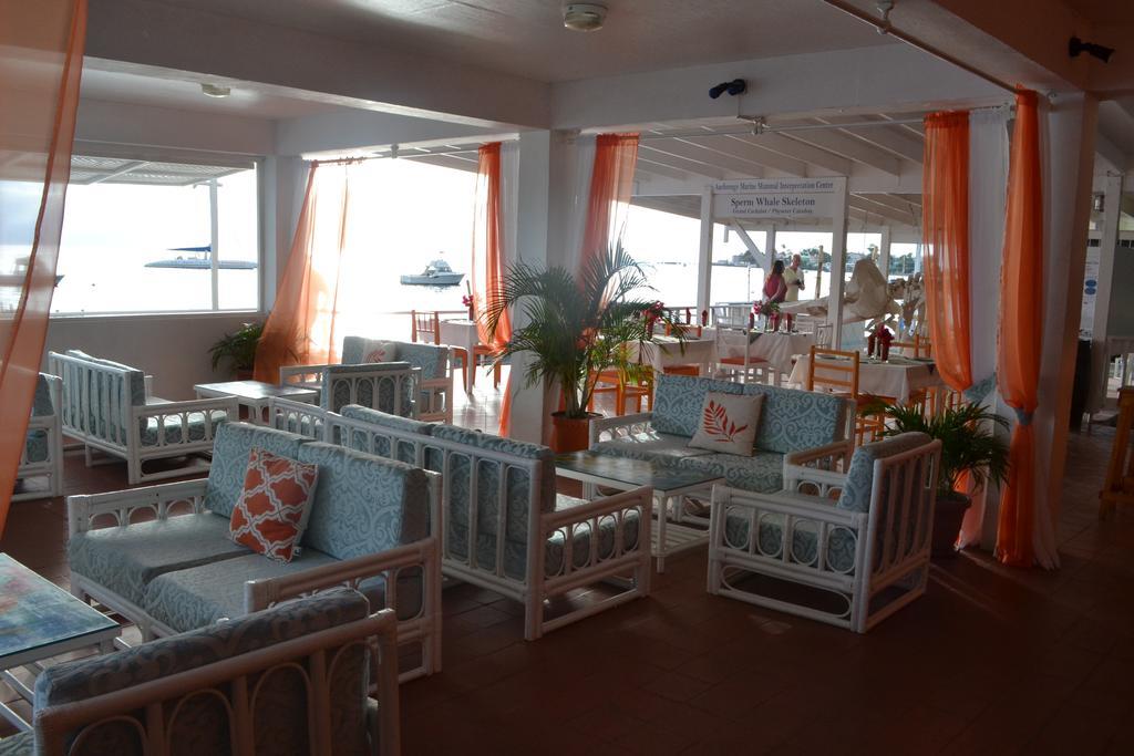 Anchorage Hotel, Whale Watch & Dive Center Ροζό Εξωτερικό φωτογραφία