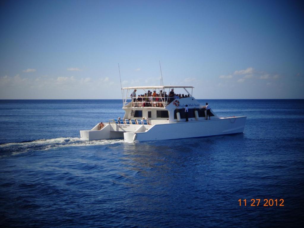 Anchorage Hotel, Whale Watch & Dive Center Ροζό Εξωτερικό φωτογραφία